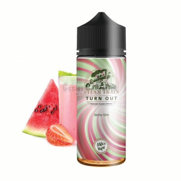 Steam Train Turn Out